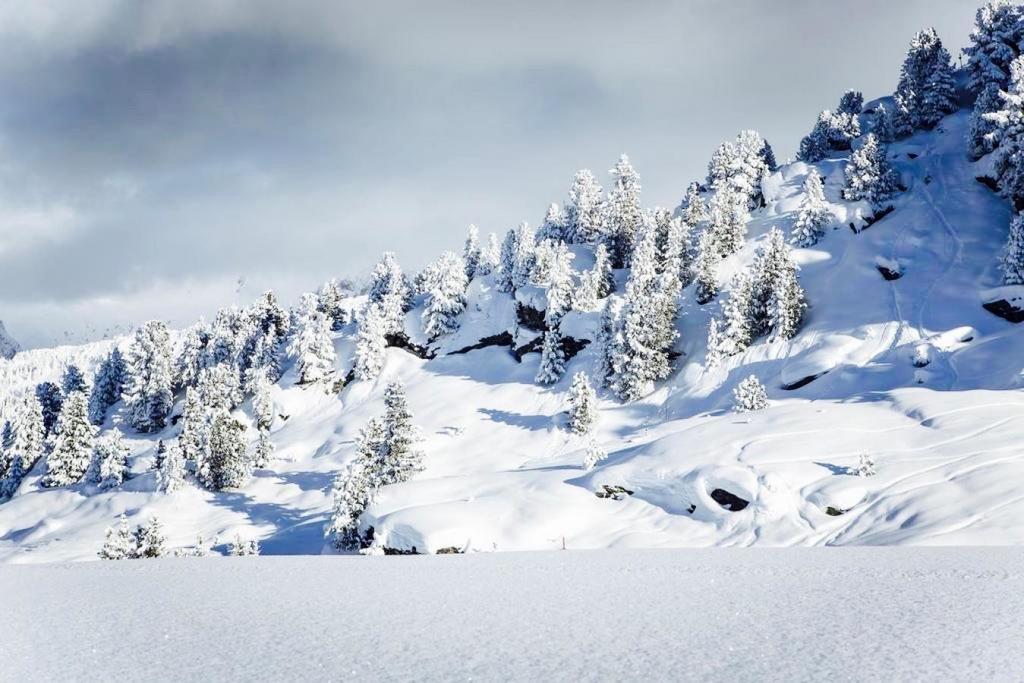 Apartmán Domaine Du Jardin Alpin Courchevel Exteriér fotografie